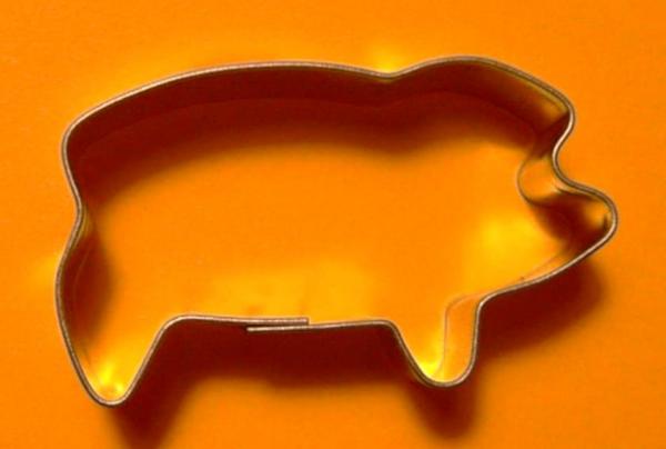 pig